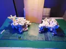 [TodoMarino.com] Ventino's reef