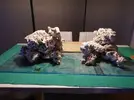 [TodoMarino.com] Ventino's reef