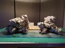 [TodoMarino.com] Ventino's reef