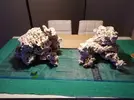 [TodoMarino.com] Ventino's reef