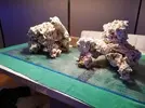 [TodoMarino.com] Ventino's reef