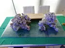 [TodoMarino.com] Ventino's reef