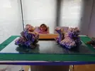 [TodoMarino.com] Ventino's reef