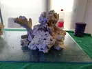 [TodoMarino.com] Ventino's reef