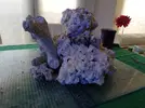 [TodoMarino.com] Ventino's reef