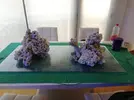 [TodoMarino.com] Ventino's reef