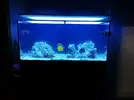 [TodoMarino.com] Ventino's reef