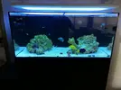 [TodoMarino.com] Ventino's reef