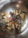 [TodoMarino.com] Ventino's reef