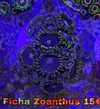 [TodoMarino.com] VENTA SPS, LPS Y ZOOS - MADRID