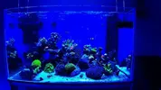 [TodoMarino.com] Vendo Reef - Madrid