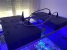 [TodoMarino.com] Vendo acuario cubo 90x90x55 445l - Rivas Vaciamadrid