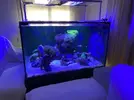 [TodoMarino.com] Vendo acuario cubo 90x90x55 445l - Rivas Vaciamadrid