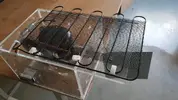 [TodoMarino.com] Refrigerar acuario con nevera pequeña