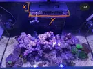 [TodoMarino.com] Ventino's reef