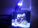 [TodoMarino.com] Os presento mi nano