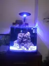 [TodoMarino.com] Os presento mi nano