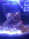 [TodoMarino.com] Os presento mi nano