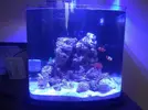 [TodoMarino.com] Os presento mi nano