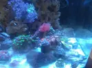 [TodoMarino.com] Os presento mi nano