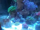 [TodoMarino.com] Os presento mi nano