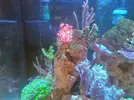 [TodoMarino.com] Os presento mi nano