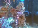 [TodoMarino.com] Os presento mi nano