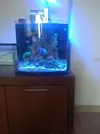 [TodoMarino.com] Os presento mi nano