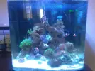 [TodoMarino.com] Os presento mi nano