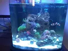 [TodoMarino.com] Os presento mi nano