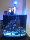 [TodoMarino.com] Os presento mi nano