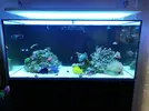 [TodoMarino.com] Ventino's reef