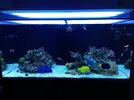 [TodoMarino.com] Ventino's reef
