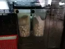 [TodoMarino.com] Ventino's reef