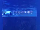 [TodoMarino.com] Ventino's reef