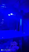 [TodoMarino.com] Led pico marino 8lt