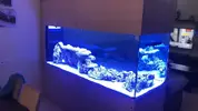 [TodoMarino.com] Cehegín Marine Reef