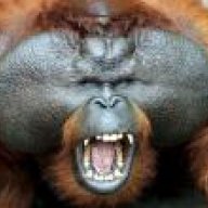 Leonelreo
