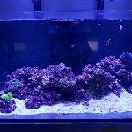 aquamarine260396