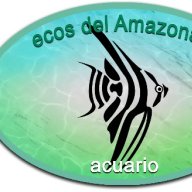ecosdelamazonas