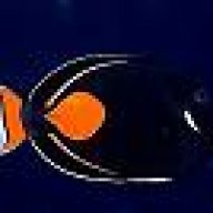 Achillesgirl