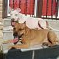 TAYSON