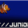 Junior