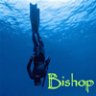 bishop