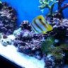 nano 30