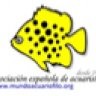 AEA-oficial