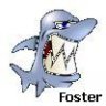 FOSTER2109