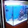 CHURUMBEL