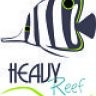 Heavy Reef
