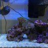 NanoCareReef